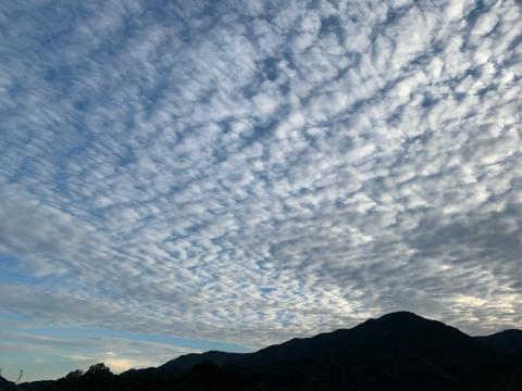 ナミナミ雲やウロコ雲 注目の空の写真 ウェザーニュース