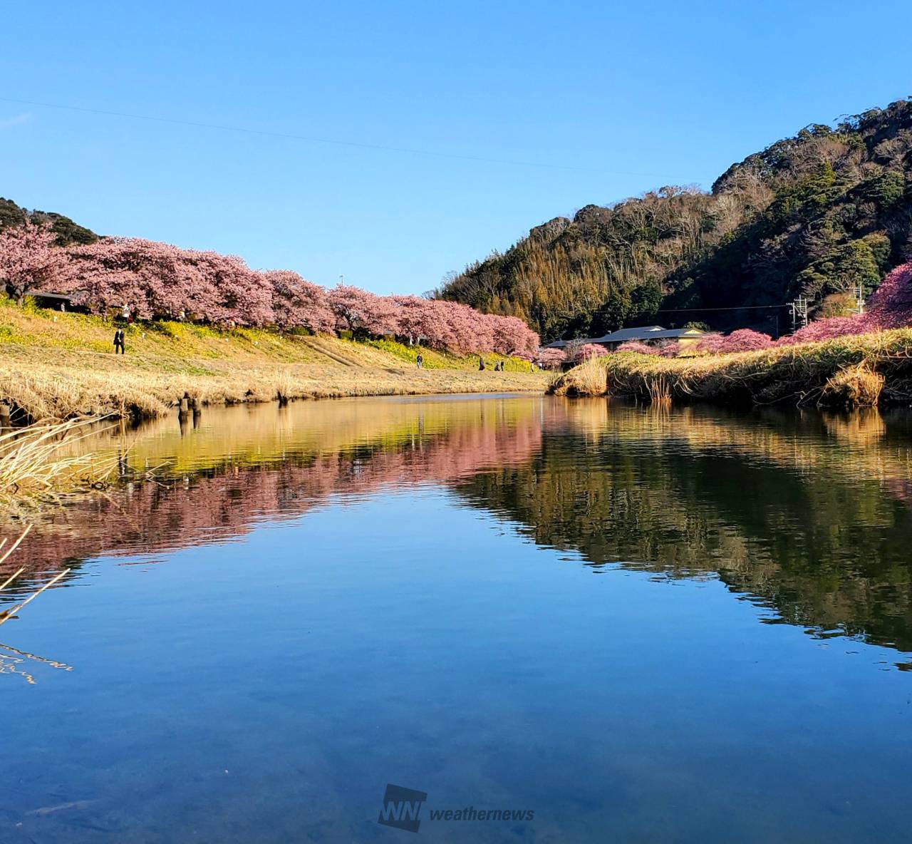 シンメトリーな景色 注目の空の写真 ウェザーニュース