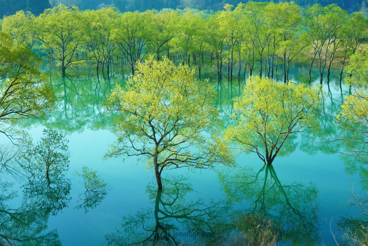 水面に映る景色 注目の空の写真 ウェザーニュース