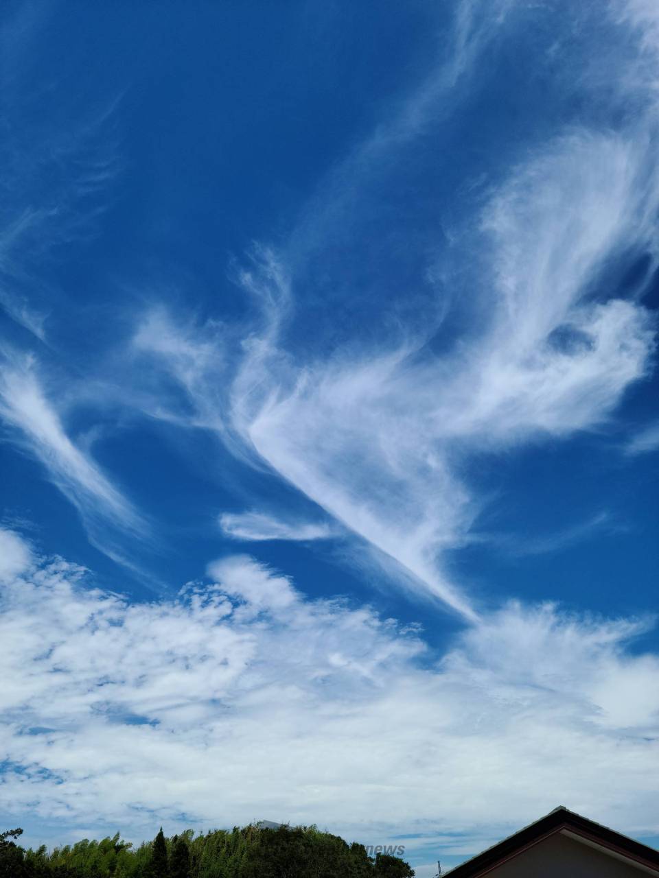 空のしずく 夏雲 ブルー | www.innoveering.net
