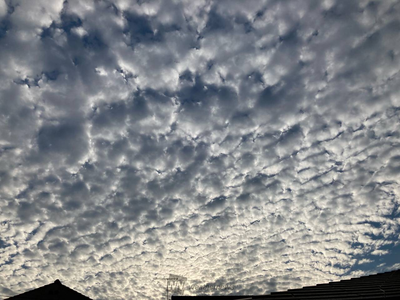 モコモコ、秋を感じる空 注目の空の写真 ウェザーニュース