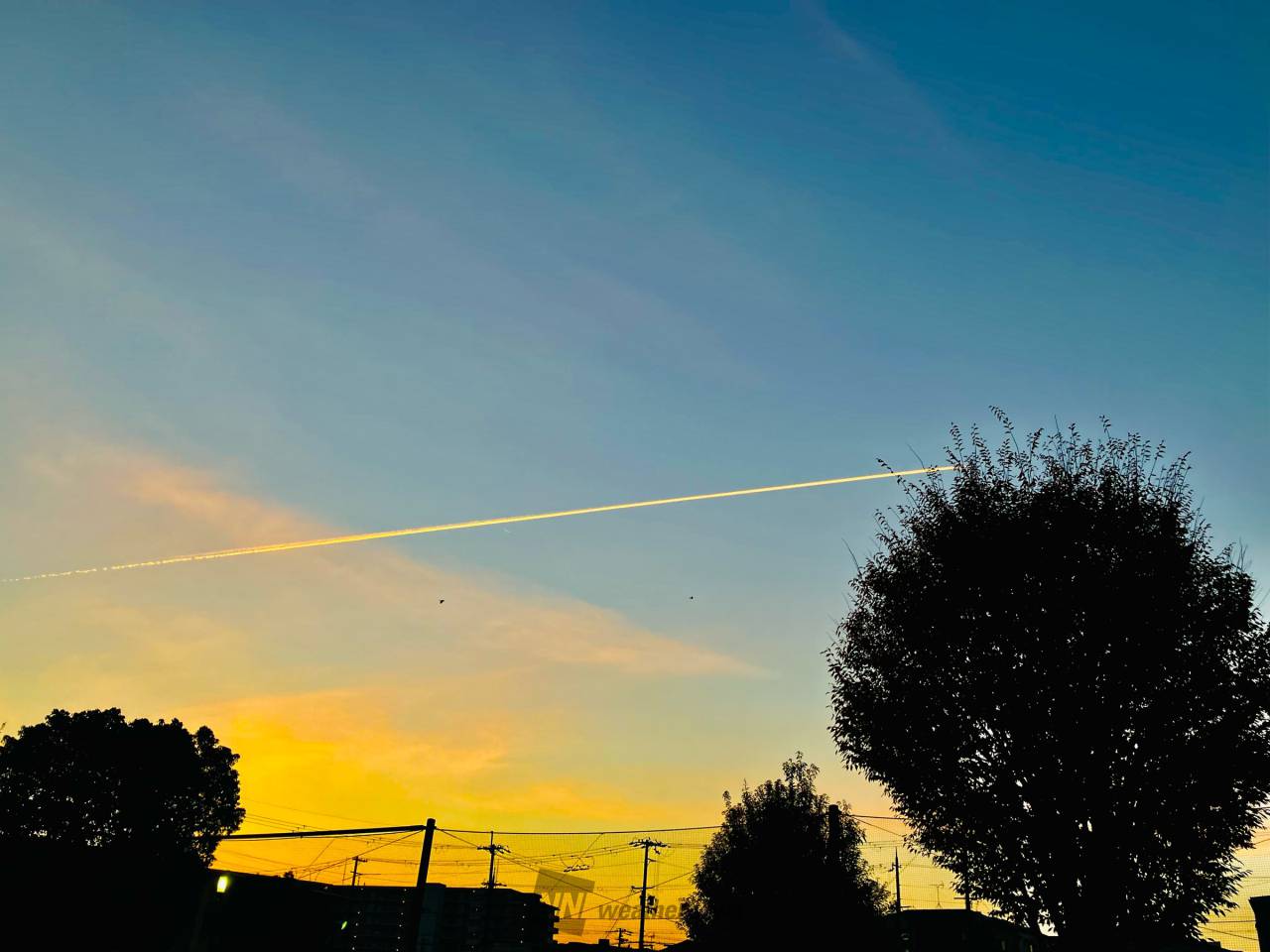 朝空と飛行機雲 注目の空の写真 ウェザーニュース