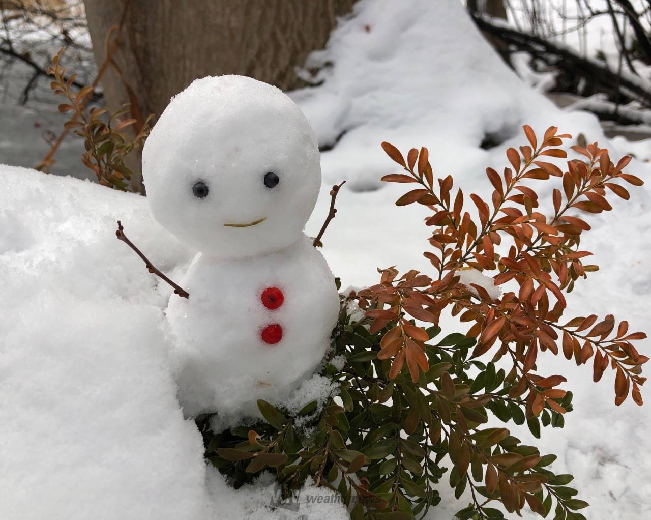 雪だるまつくろ♪ 注目の空の写真 ウェザーニュース