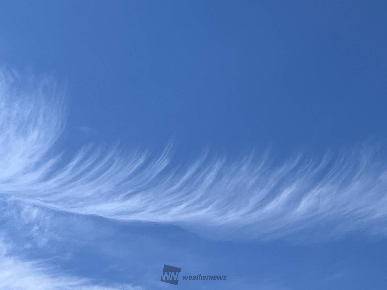 羽のような雲 注目の空の写真 ウェザーニュース