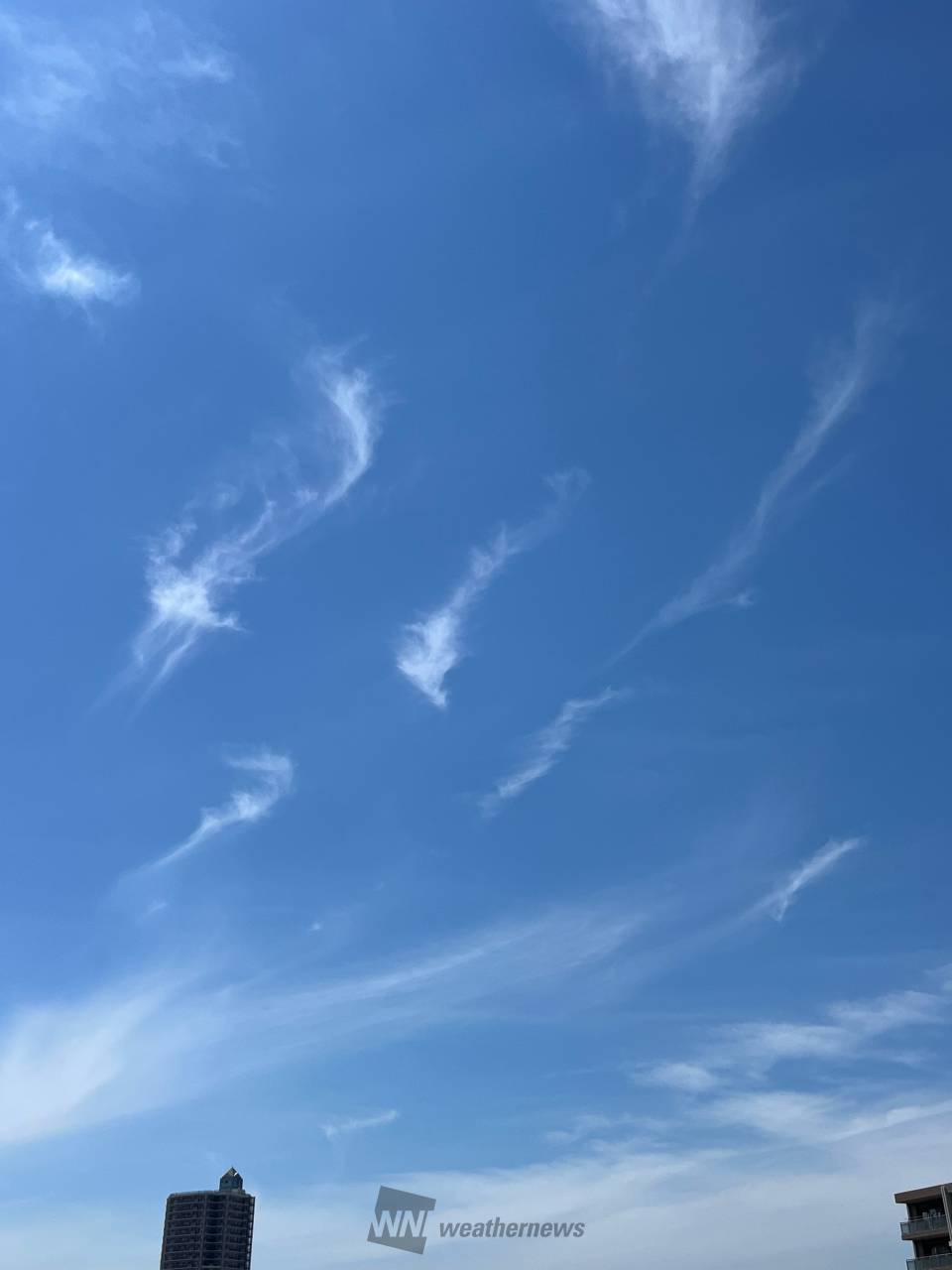 海の画廊「龍 雲 」 海の画廊「龍 雲 」