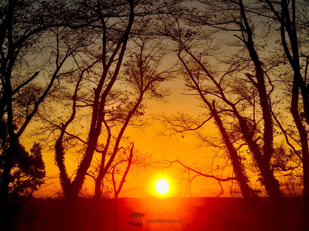 本日の夕焼け 注目の空の写真 ウェザーニュース