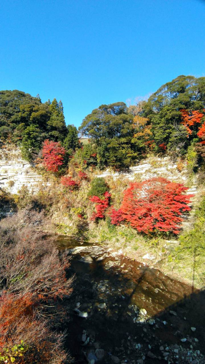 錦色に染まる 紅葉絶景写真館 注目の空の写真 ウェザーニュース