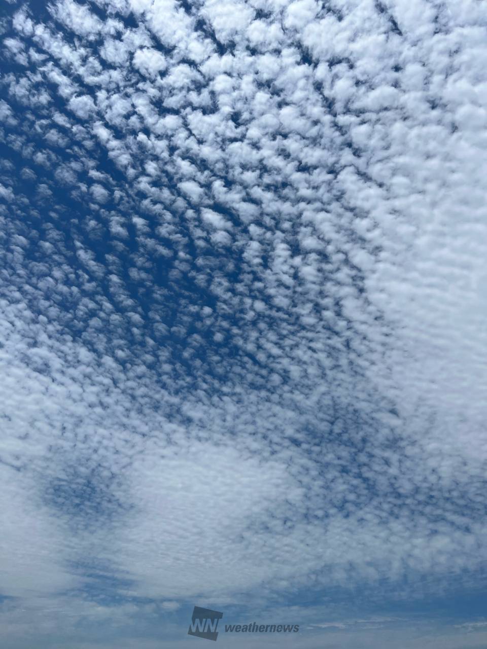 西日本はモコモコ雲☁️ 注目の空の写真 ウェザーニュース