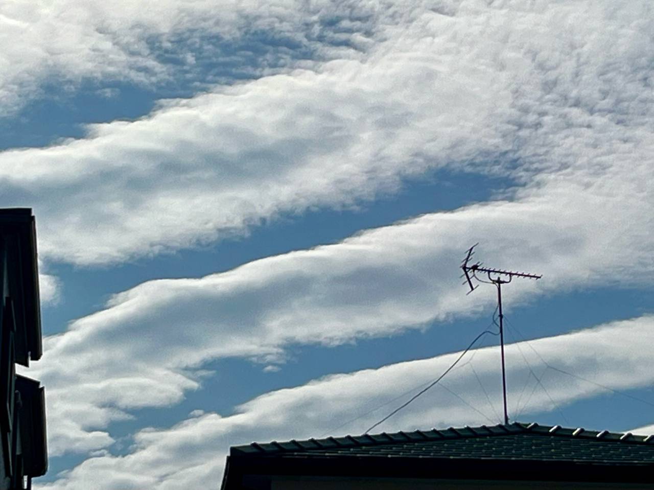 すじ雲・ひつじ雲 注目の空の写真 ウェザーニュース