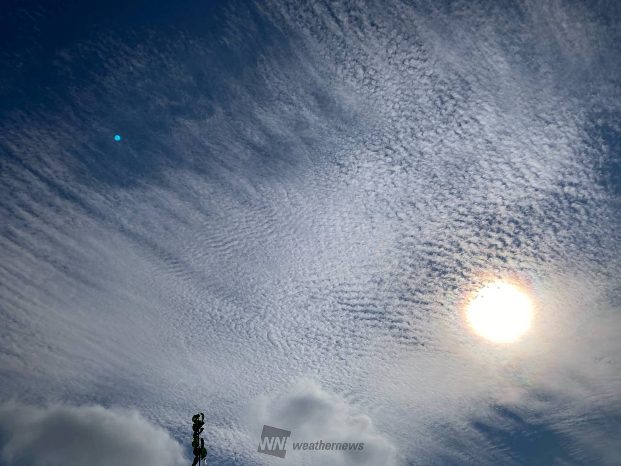 夏空の雲画廊 注目の空の写真 ウェザーニュース