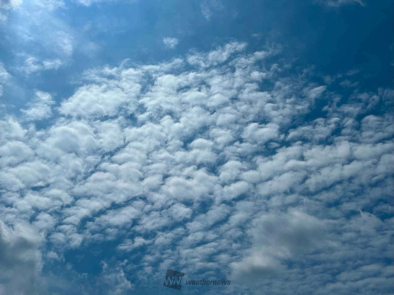 モコモコモコ雲 注目の空の写真 ウェザーニュース