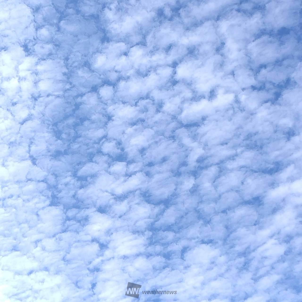 もこもこモコモコ雲 注目の空の写真 ウェザーニュース