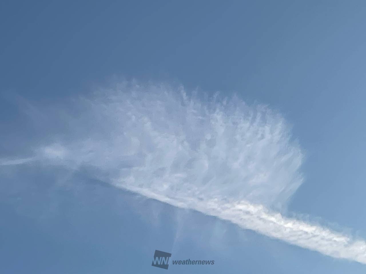 秋の雲画廊 注目の空の写真 ウェザーニュース