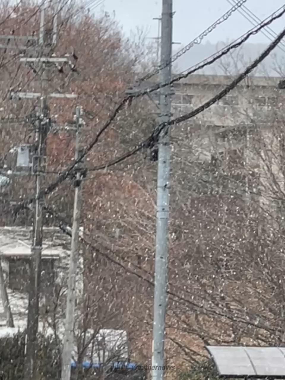 西日本は各地で雪 大阪など初雪を観測 注目の空の写真 ウェザーニュース