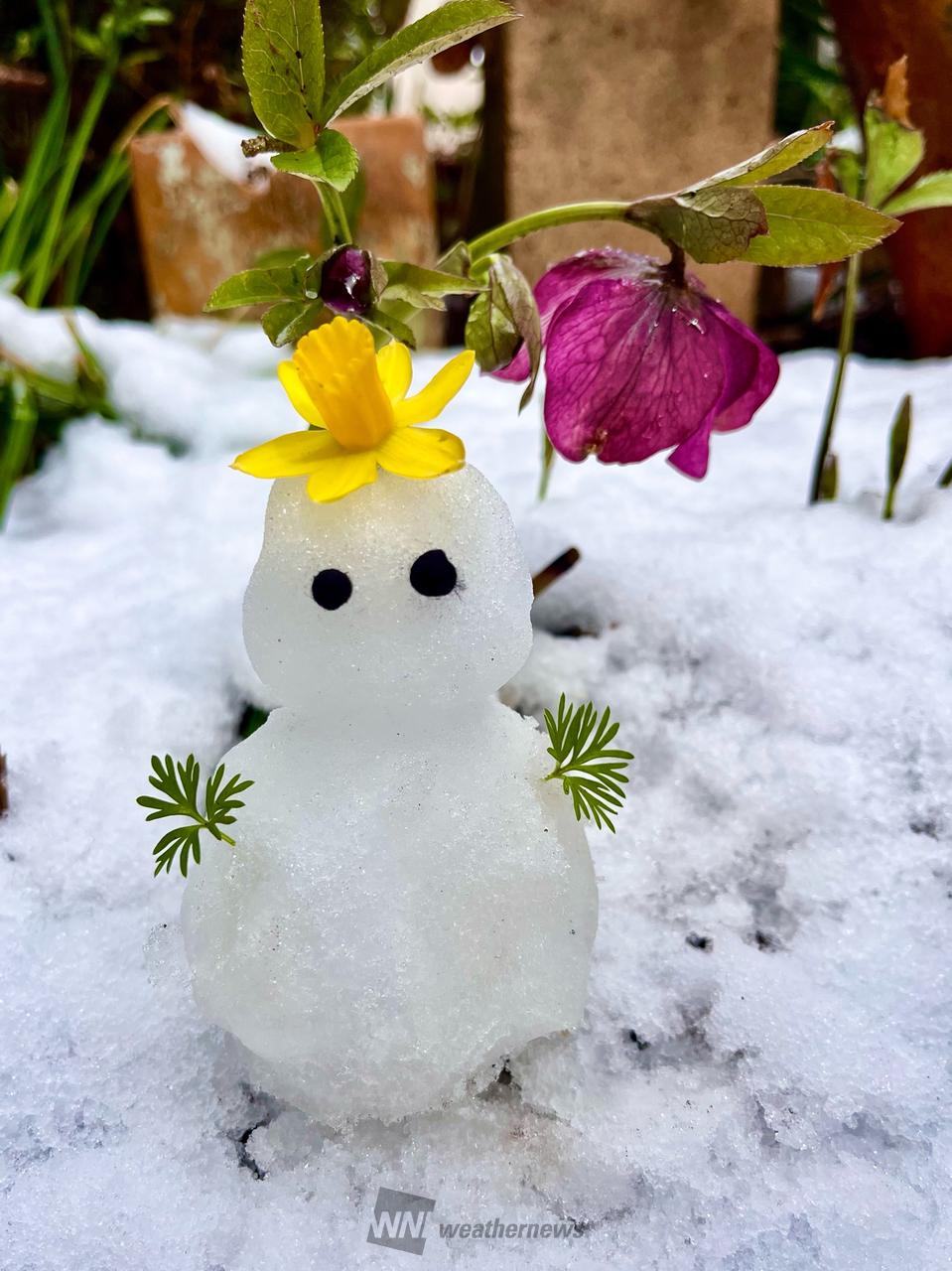 みんなの雪だるま⛄️ 注目の空の写真 ウェザーニュース