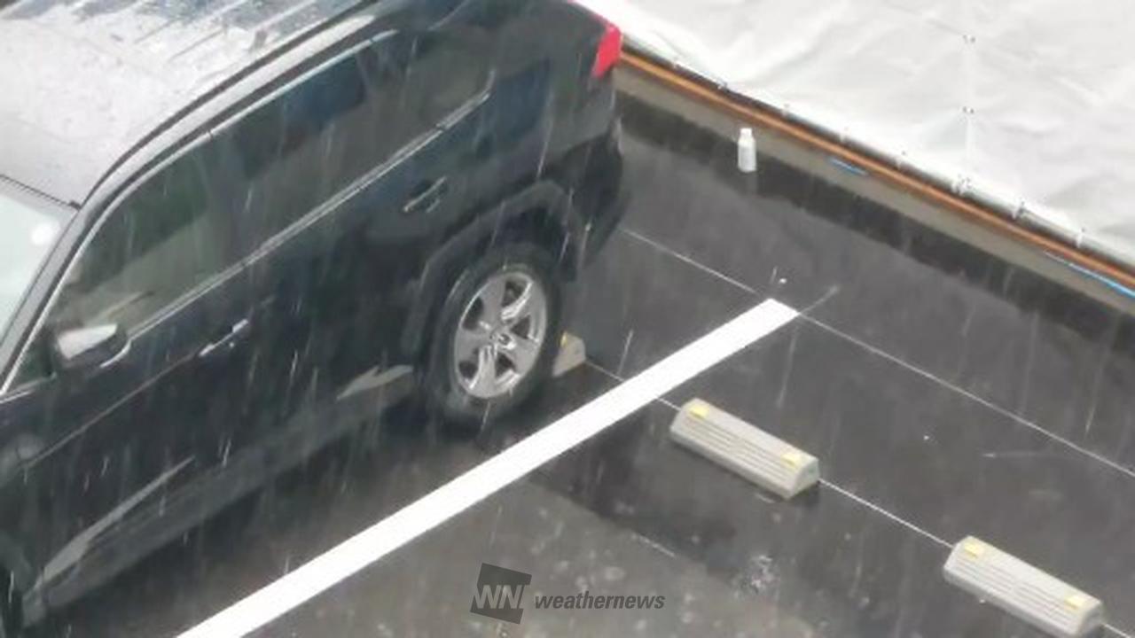 大幅値下げフェルトカーボン雨天走行無し理由は説明欄に掲載させていただいてます 楽天市場】レインコート キッズ セパレート 上下 ランドセル対応 上下