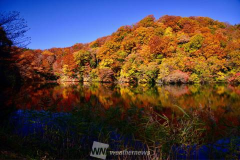 青森の紅葉見頃情報 紅葉名所 紅葉ch ウェザーニュース