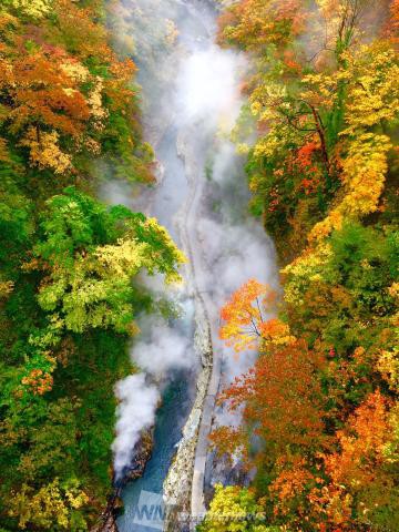 秋田の紅葉見頃情報 紅葉名所 紅葉ch ウェザーニュース