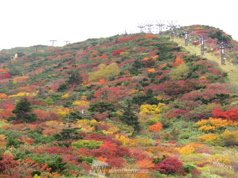 宮城の紅葉見頃情報 紅葉名所 紅葉ch ウェザーニュース