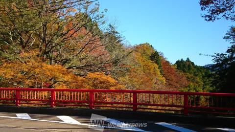 宮城の紅葉見頃情報 紅葉名所 紅葉ch ウェザーニュース