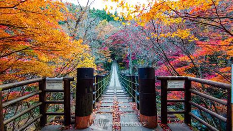 茨城の紅葉見頃情報 紅葉名所 紅葉ch ウェザーニュース