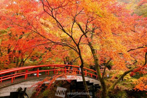 群馬の紅葉見頃情報 紅葉名所 紅葉ch ウェザーニュース