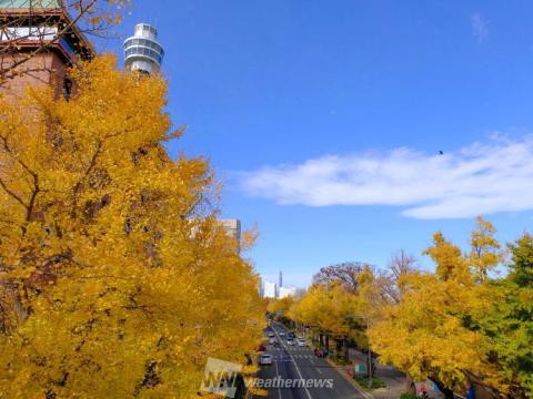 神奈川の紅葉見頃情報 紅葉名所 紅葉ch ウェザーニュース