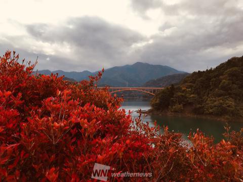 神奈川の紅葉見頃情報 紅葉名所 紅葉ch ウェザーニュース