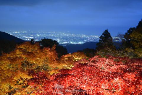 神奈川の紅葉見頃情報 紅葉名所 紅葉ch ウェザーニュース