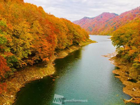 新潟の紅葉見頃情報 紅葉名所 紅葉ch ウェザーニュース