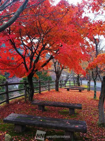 福岡の紅葉見頃情報 紅葉名所 紅葉ch ウェザーニュース