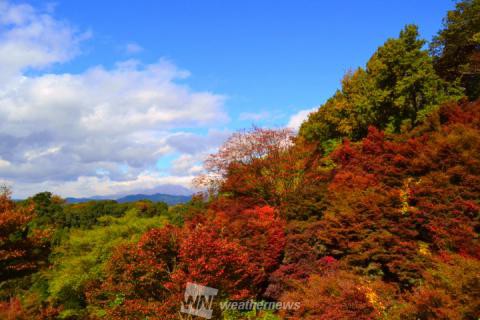 大分の紅葉見頃情報 紅葉名所 紅葉ch ウェザーニュース