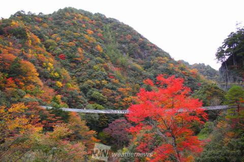 熊本の紅葉名所人気ランキング ウェザーニュース紅葉ch 21