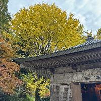 播州清水寺の紅葉情報 22 ウェザーニュース