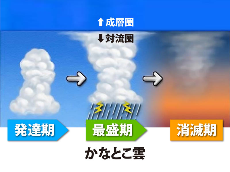 『天気の子』を見る前に知っておきたい！ 「かなとこ雲」ってどんな雲？