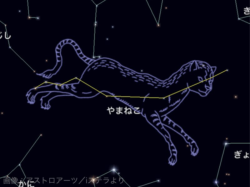 夜空に輝く88星座 ウェザーニュース