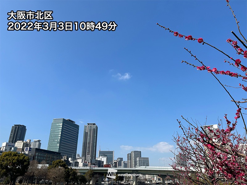 関東から西日本は青空が広がる　一日の気温差と花粉に要注意 – ウェザーニュース