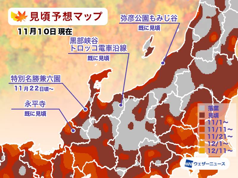 22年名古屋紅葉 中部北陸賞楓銀杏情報 預測 11月10日更新 花小錢去旅行