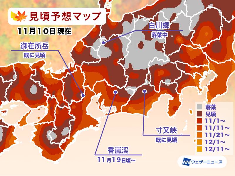 22年名古屋紅葉 中部北陸賞楓銀杏情報 預測 11月10日更新 花小錢去旅行