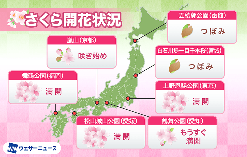 ひよわな花・日本 : 分析と警告(ズビグネフ・ブレジンスキー著