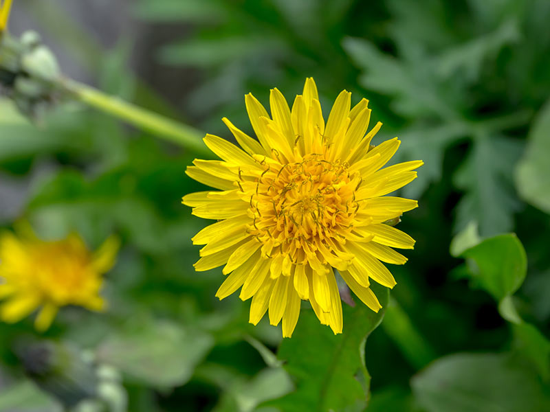 202504280215_top_img_A.jpg?