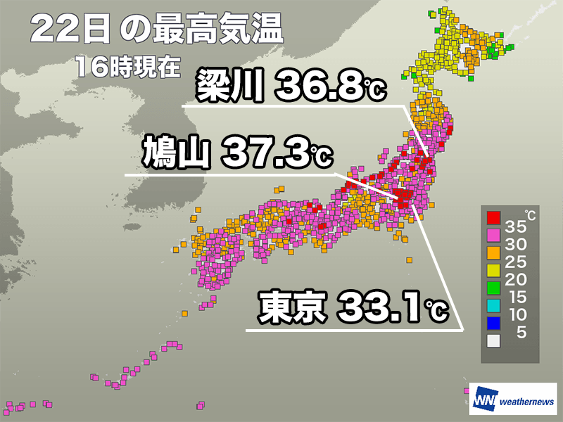 こいせん　全レス転載禁止 ->画像>4枚 