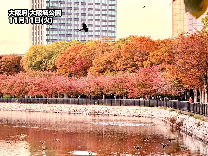 近畿 市街地でも紅葉始まる