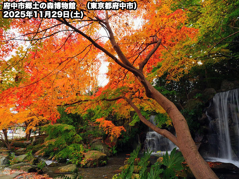 府中市郷土の森博物館(東京都府中市)