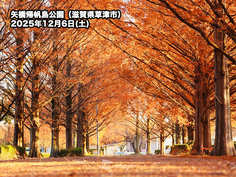 平野部でもシーズンは終盤に