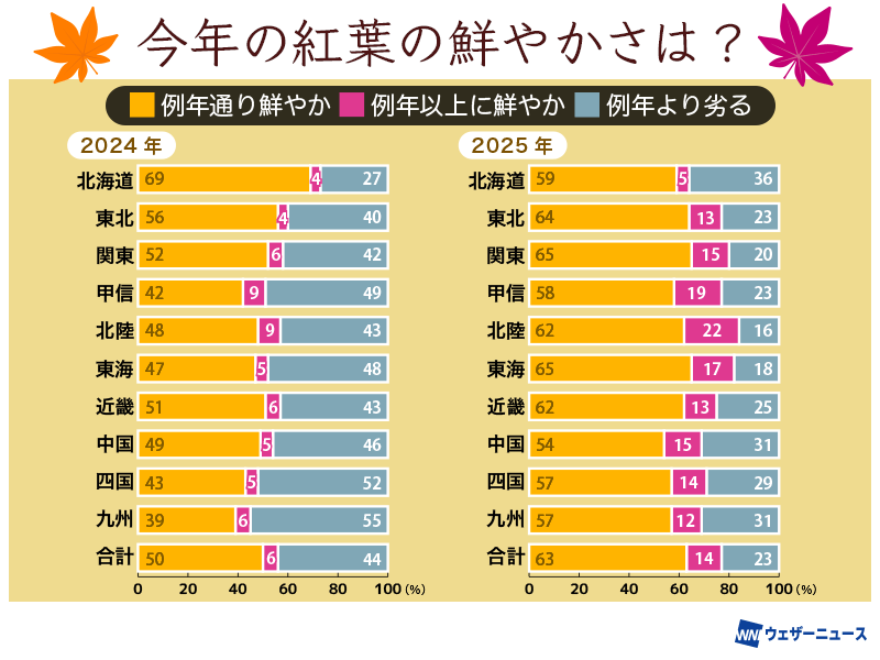 今年は鮮やかな紅葉に