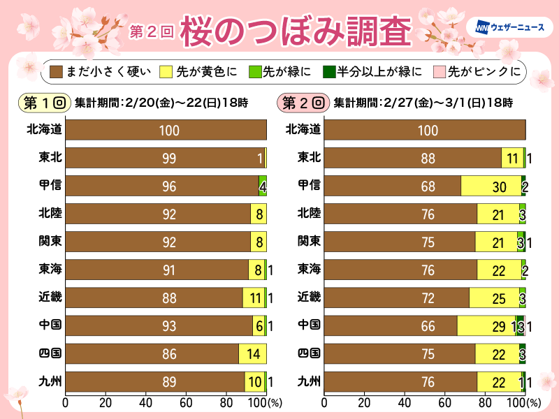 「桜のつぼみ調査」による桜の生長状況