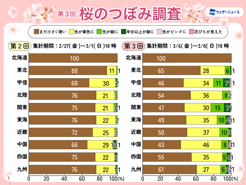 「桜のつぼみ調査」による桜の生長状況