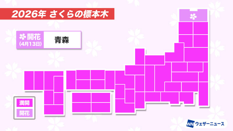 今日の開花・満開発表状況