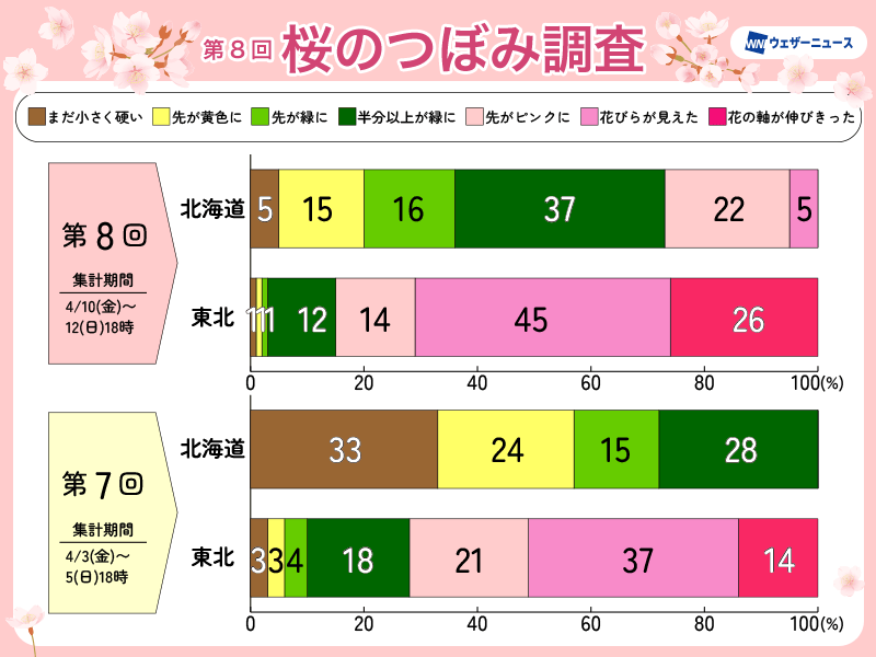 「桜のつぼみ調査」による桜の生長状況